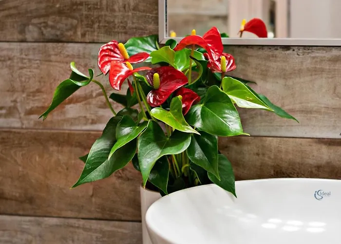 Rooftop Apartment,in The Heart Of Old Town!